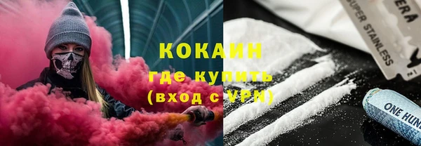 гашик Алексеевка