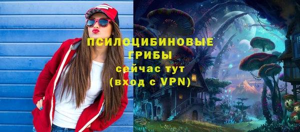 гашик Алексеевка